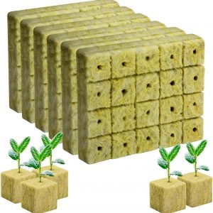 Starter Cubes Plugs with Holes for Hydroponic, Seeds Germination and Soilless Growing